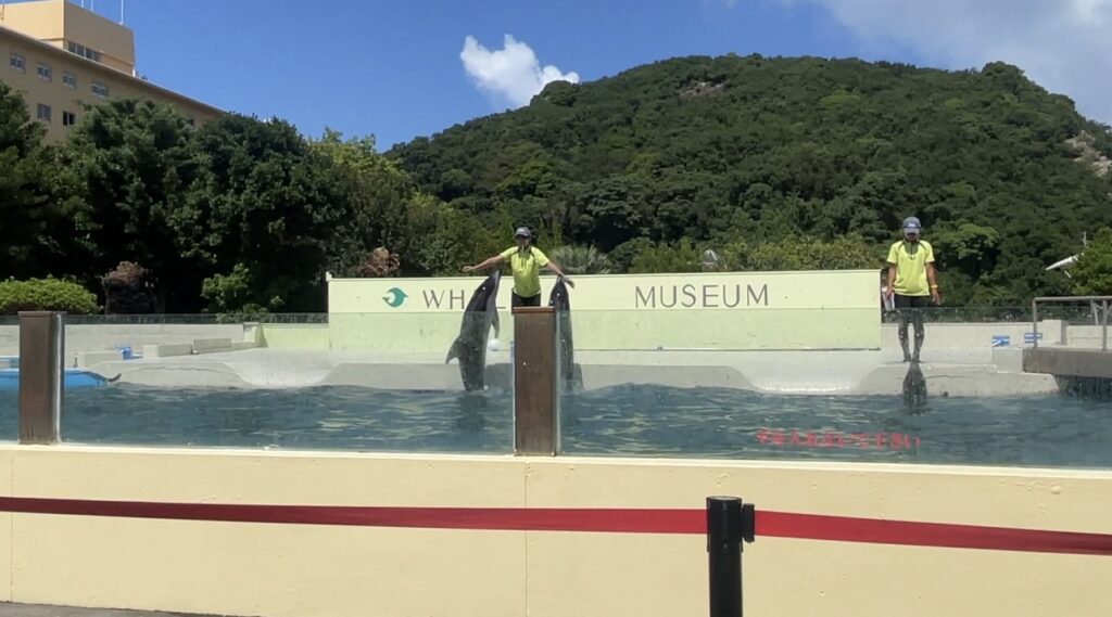 くじらの博物館