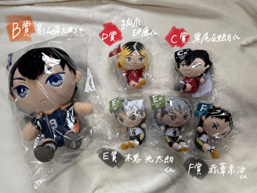 ハイキュー フリューくじ ぬいもっち